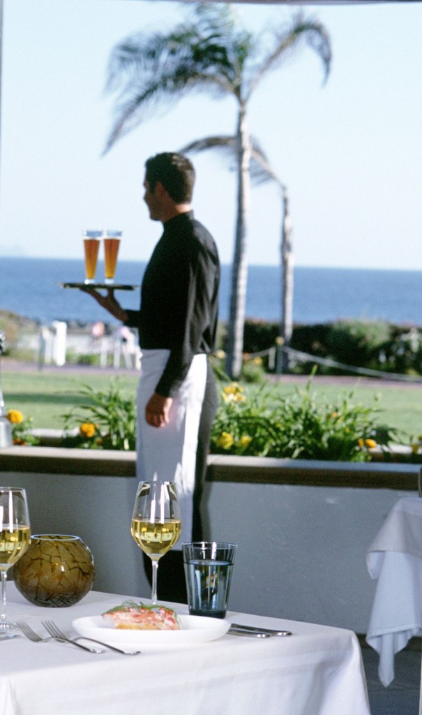 Hotel Del Coronado- 1500 OCEAN_ocean view cropped - SM