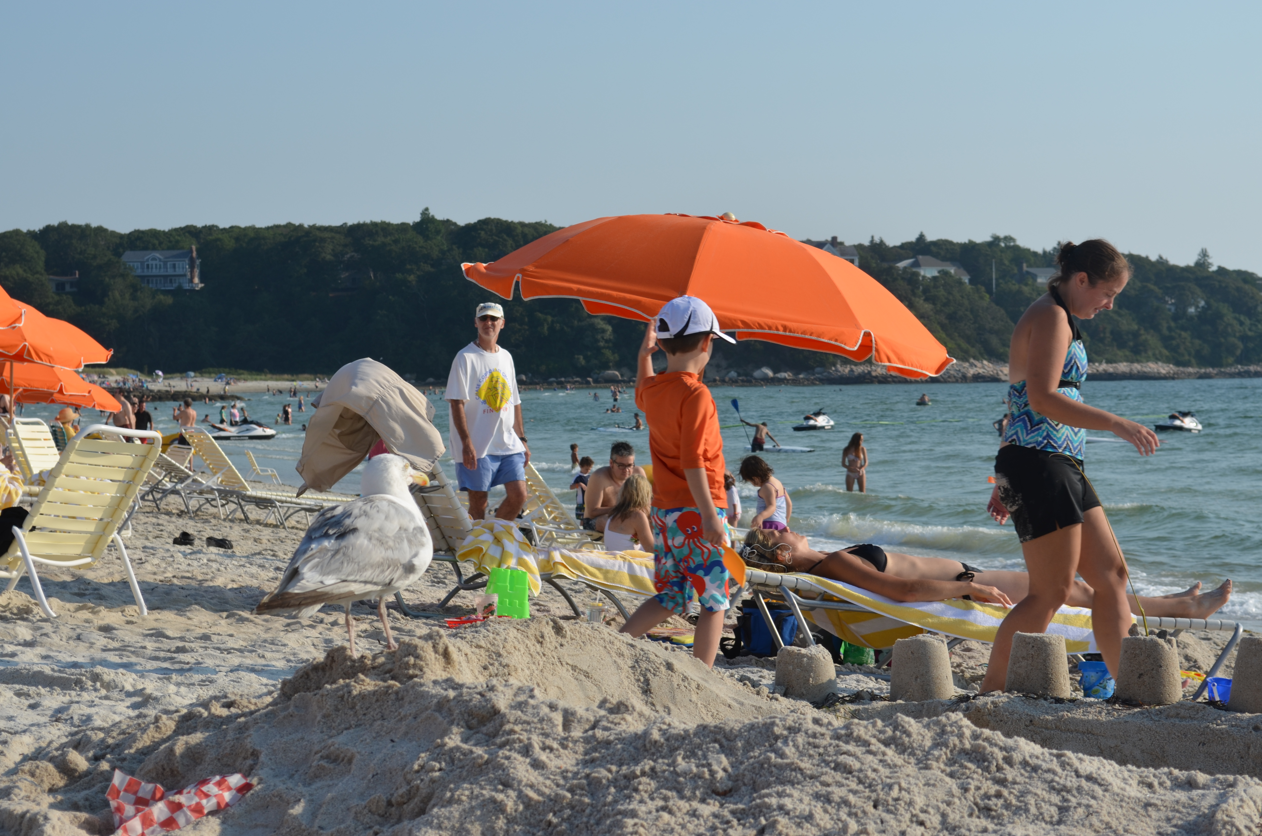 Cape Cod-Sea Crest Beach Hotel